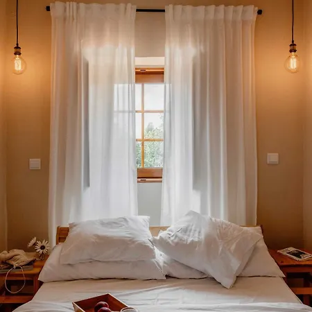 Nocashouse Lousa Holiday home